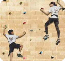 2017-2018