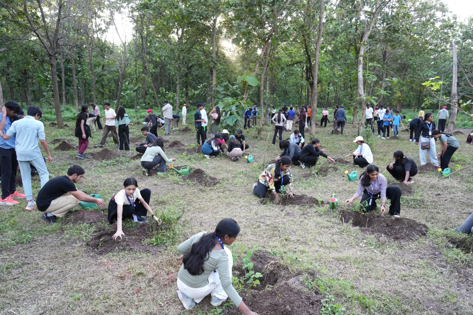 Sustainability at DAIS
