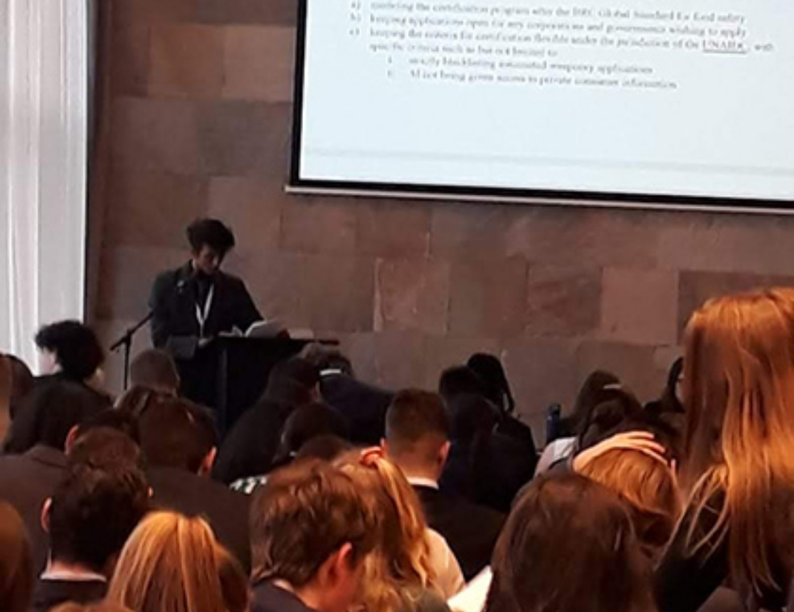 Preparations of the Conference